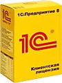 Дополнительные клиентские лицензии 1С